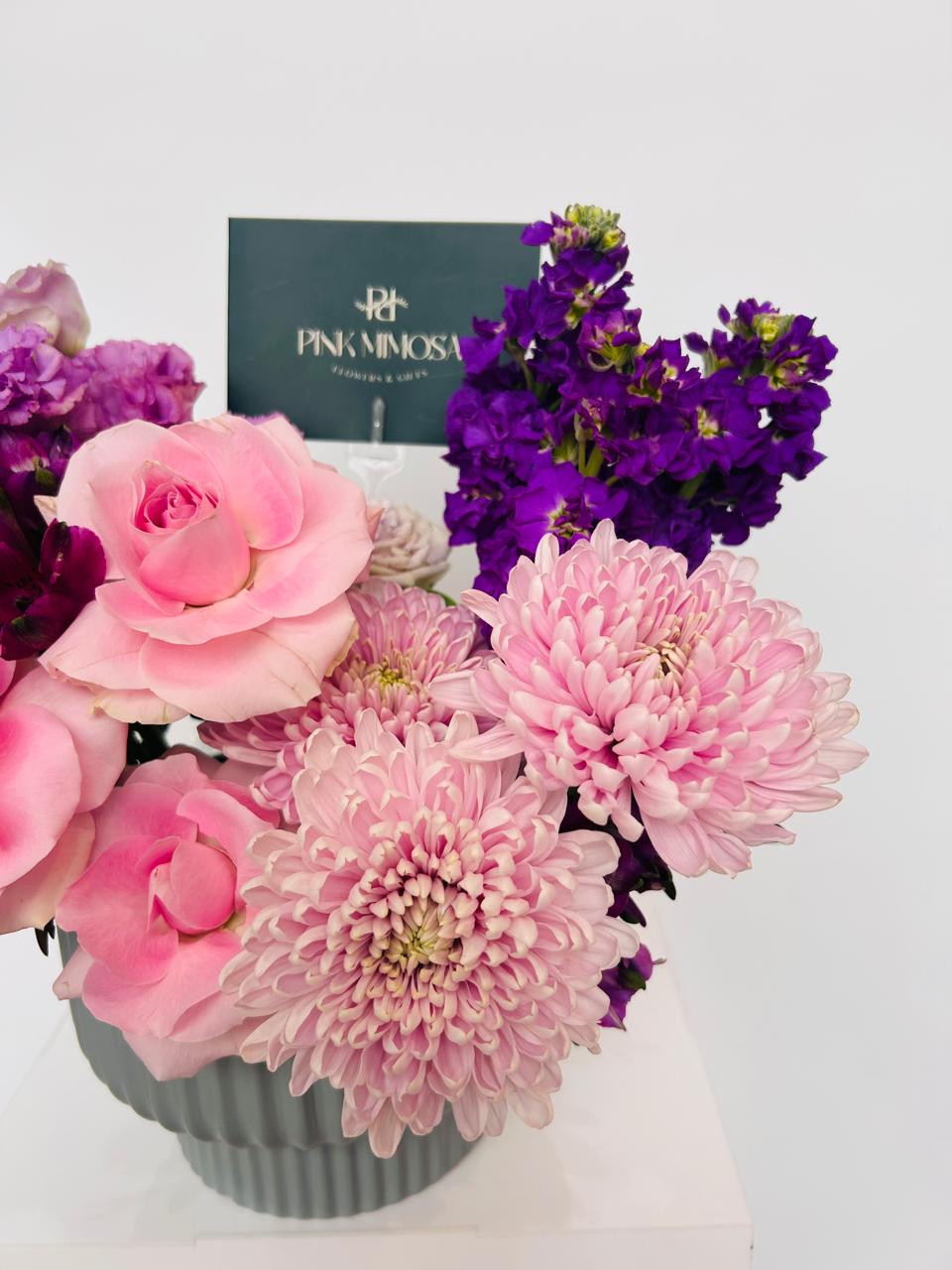 Mulberry Tacao - Image 2