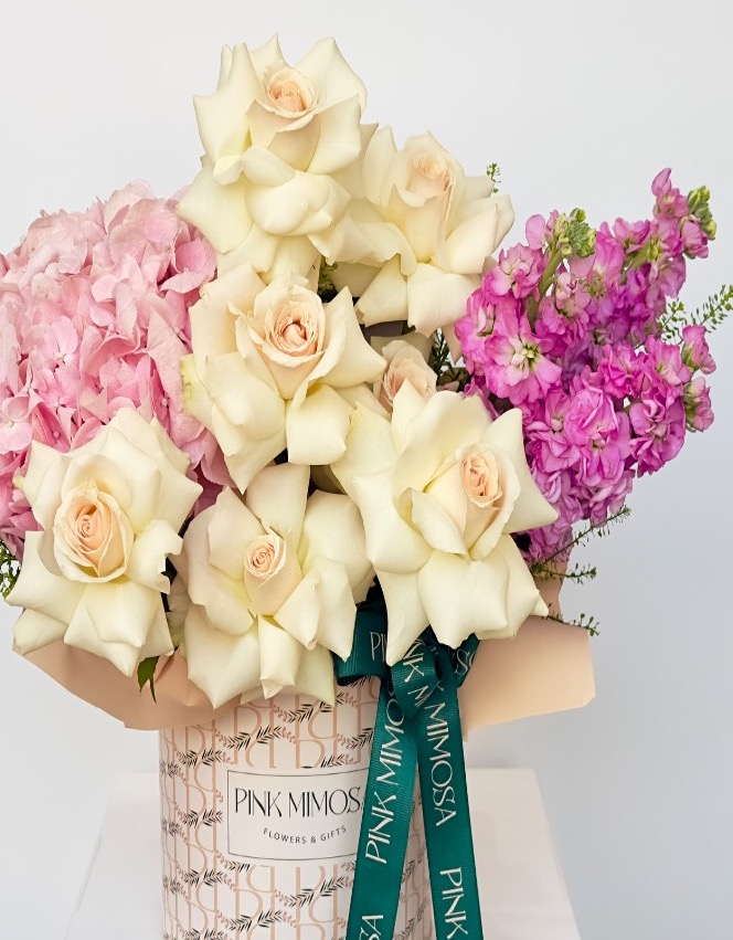 Cutie Macaroon - Image 2