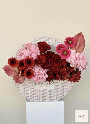 Fancy Box Collection