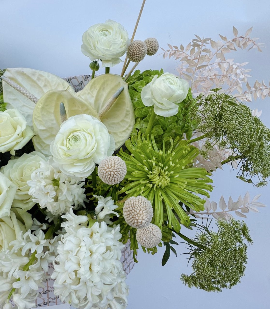 Fancy White Clover - Image 3